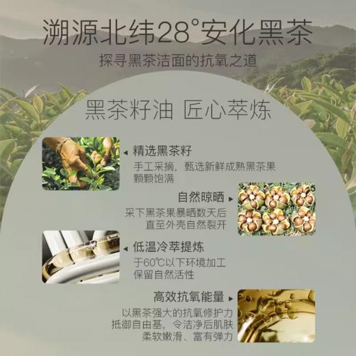 柳丝木黑茶柔润洗面奶洁净氨基酸绵密泡沫敏肌可用学生女正品 商品图4