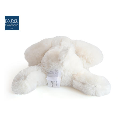 DOUDOU 曲奇狗-25cmDOUCHO2319玩偶 商品图5