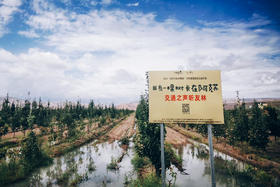 【团队林】2024“我有一棵树 长在阿克苏”大型援疆行动团队苹果林认种