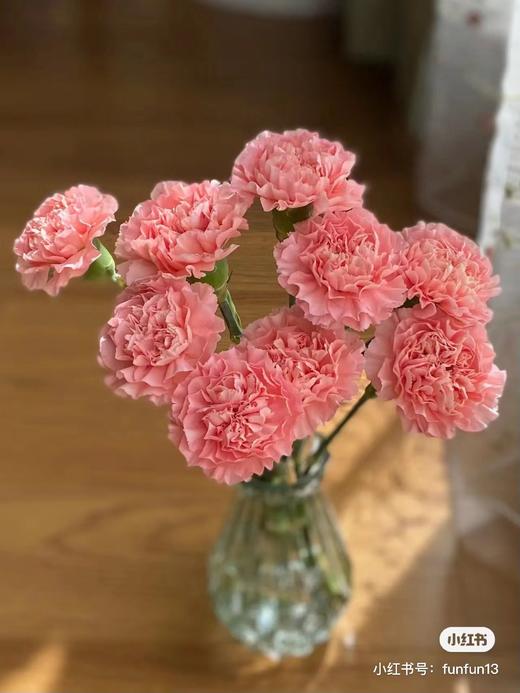 康乃馨10支 商品图2