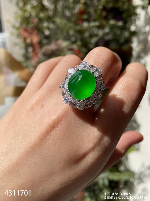 玻璃种黄阳蛋面戒指【4311701】具体价格微信咨询 商品图3