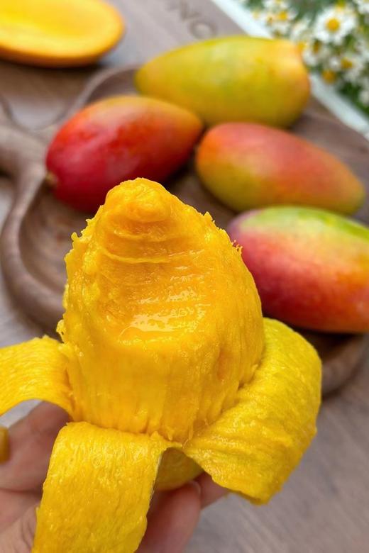 海南三亚红塘贵妃芒 北纬18°树上熟 一口甜润到心尖 商品图3