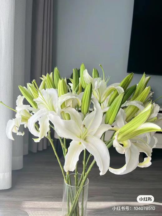白色多头百合3支 商品图2