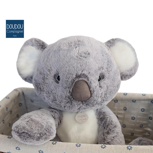 DOUDOU 考拉-35cmDOUCHO2970玩偶 商品图2