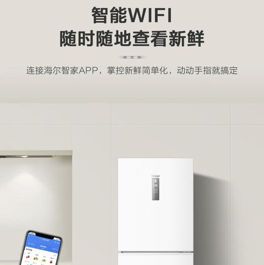 海尔（Haier）冰箱 BCD-255WLHC35EWVU1 商品图10