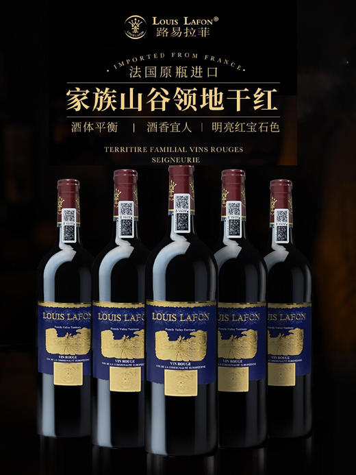 【中欧班列精选】法国进口拉菲LOUISLAFON家族山谷领地干红葡萄酒750ml/瓶  酒精度数13度 商品图1
