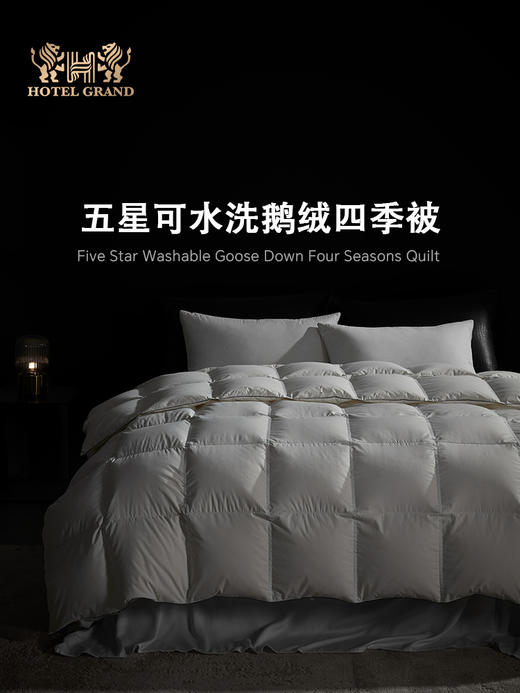 五星可水洗鹅绒四季被 商品图0