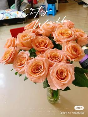 微光仙子玫瑰10支