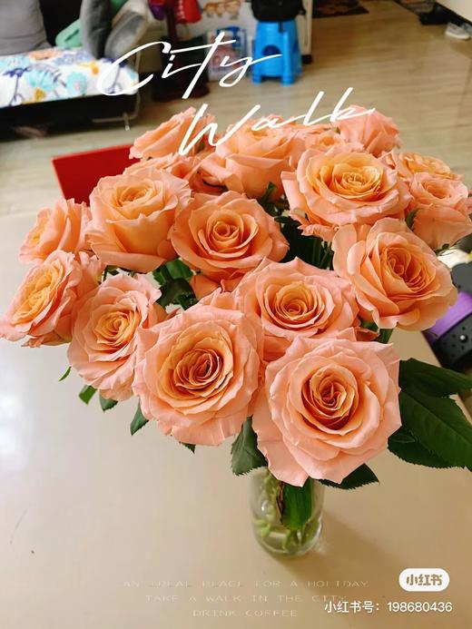 微光仙子玫瑰10支 商品图0