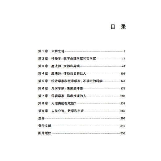 《最后的数学问题》 商品图3