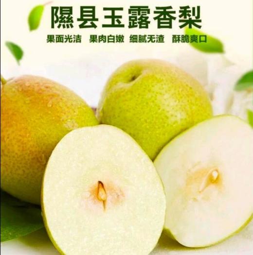 山西隰县玉露香梨 商品图0
