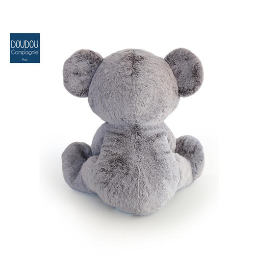 DOUDOU 考拉-35cmDOUCHO2970玩偶 商品图5
