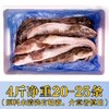 大连野生活冻海鲶鱼，20-25条/箱，（5-6条/斤，约4斤），东北三省包邮，其他地区联系客服补运费 商品缩略图6