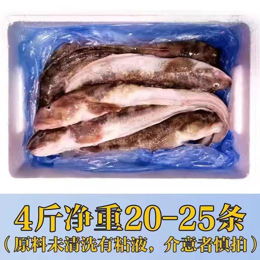 大连野生活冻海鲶鱼，20-25条/箱，（5-6条/斤，约4斤），东北三省包邮，其他地区联系客服补运费 商品图6