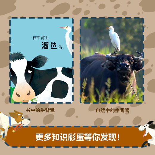 100只萌宠大发现：猫！猫！猫！+狗！狗！狗！+鸟！鸟！鸟！ 商品图6