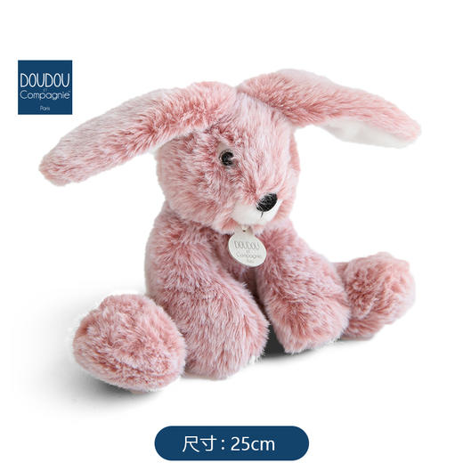 DOUDOU 小兔-25cmDOUCHO3007玩偶 商品图2