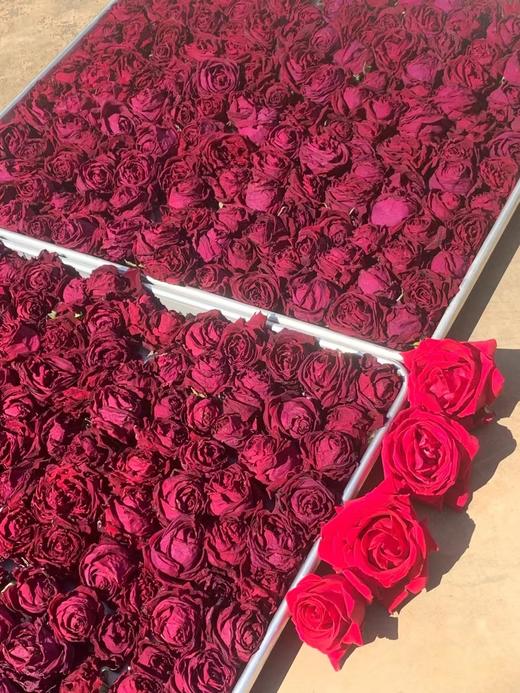 ² 清仓【冻干墨红玫瑰花】唇齿留玫瑰香 可以和其它茶叠泡 HM02-CRMM-BP 商品图6