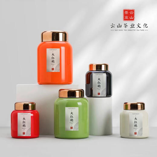 奇种大红袍武夷山岩茶礼盒装350克 商品图0