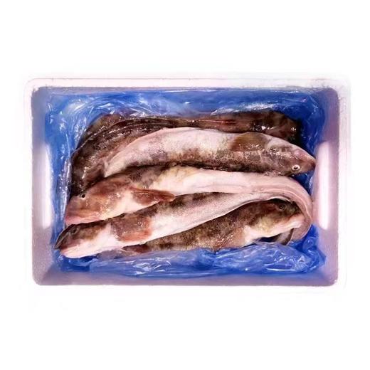 大连野生活冻海鲶鱼，20-25条/箱，（5-6条/斤，约4斤），东北三省包邮，其他地区联系客服补运费 商品图5