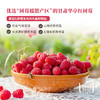 【昀蓉时光.红树莓原浆多盒】气色嘭嘭·1袋喝掉45颗A 级鲜红树莓果.100%树莓原浆.0香精色素.营养丰富，原汁原味.酸甜爽口（40ml*7 袋/盒） 商品缩略图4
