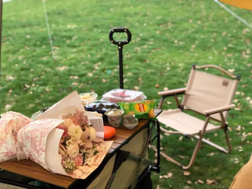 凯速露营装备 品牌直发 颜值高的凯速露营器材 能用到的器材基本都在这里，搭起帐篷铺上野餐垫坐在椅子上，喝着饮料感受户外自然美景 商品图12