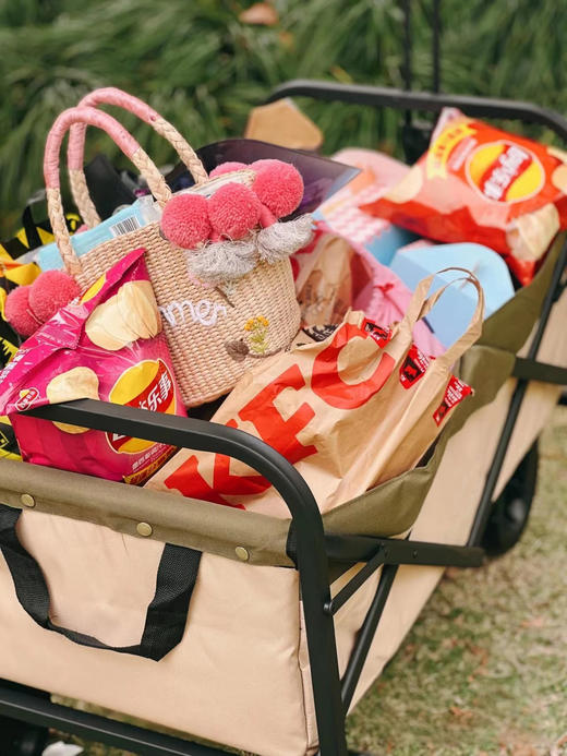 凯速露营装备 品牌直发 颜值高的凯速露营器材 能用到的器材基本都在这里，搭起帐篷铺上野餐垫坐在椅子上，喝着饮料感受户外自然美景 商品图8