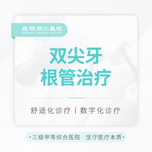 【根管治疗】双尖牙 含充填 牙痛修复|精密根管 商品图0