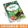 新太阳鸟课外大阅读系列 注音彩绘版 昆虫记 商品缩略图1
