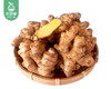 三明新鲜老姜（1.5kg±60g/份） 商品缩略图4