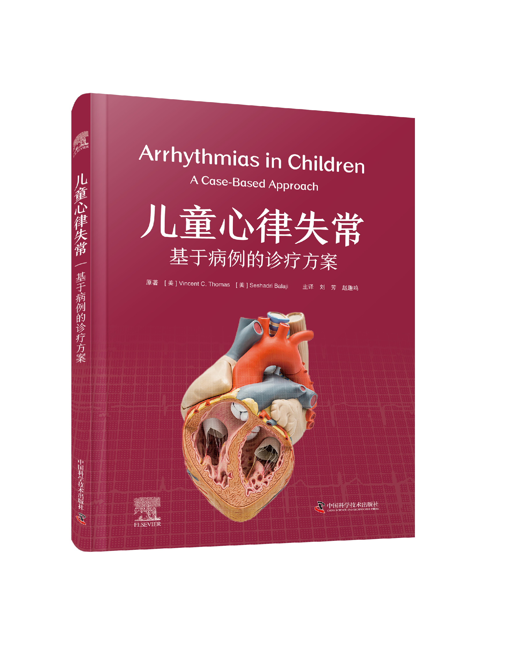 儿童心律失常：基于病例的诊疗方案基于病例的诊疗方案