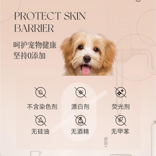 舒柏泰超级针梳宠物美容拉毛梳泰迪比熊蓬松梳气垫软硬针梳 商品图4