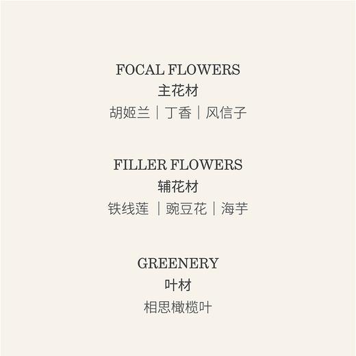 藤尾浅香Purple Scent 商品图3