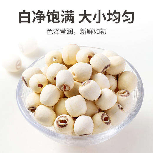 严选磨皮白莲500g/瓶装 商品图9