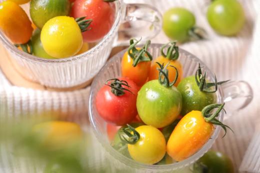 有机圣女果3斤装 商品图0