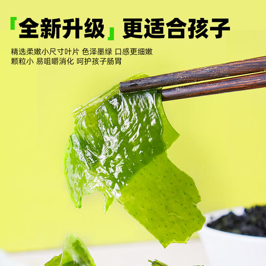 海狸先生干裙带菜升级版40g*5袋 商品图3