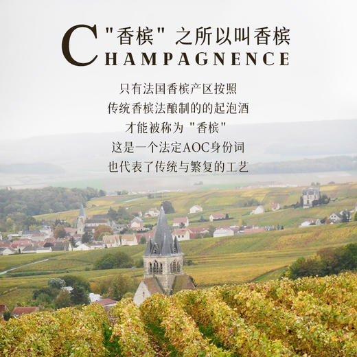 【7获国际90+分】 哈顿特级园级干香槟 哈顿特级园AOC香槟 12.5%vol 商品图9
