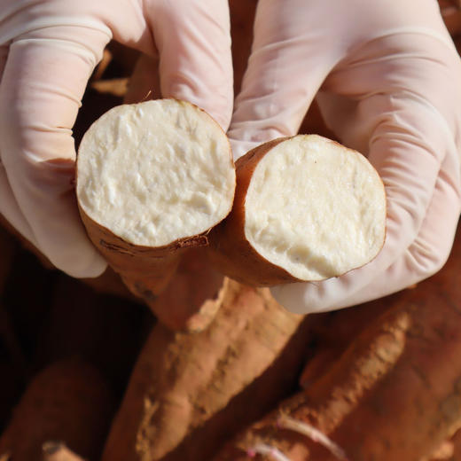 哈蜜冰糖白薯（软糯香甜，细腻无筋）4斤装（中果）下单后48小时发货 商品图6