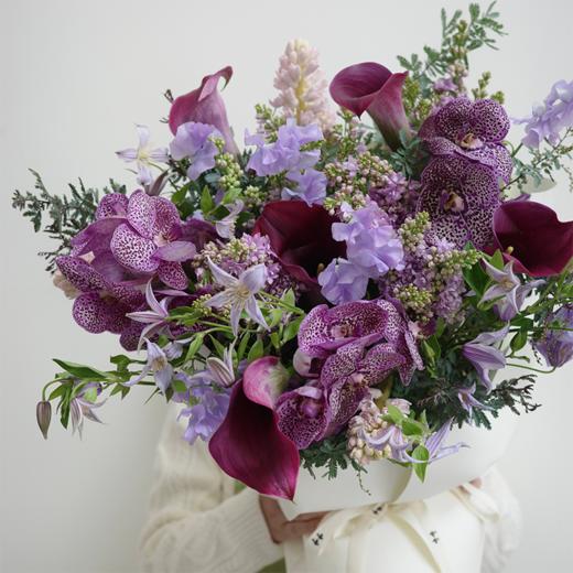 藤尾浅香Purple Scent 商品图1