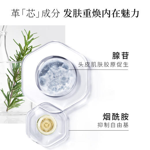 芯护理道头皮生机系列洗发露500ml/117843 强韧发根丰盈蓬松 商品图3