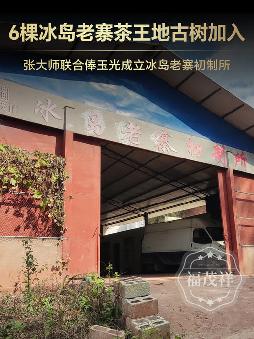 【2024年春茶】【冰岛老寨】有身份证的冰岛老寨 每一片叶子都来自32号茶农俸玉光 2024年春茶普洱茶生茶临沧冰岛老寨800纯料古树357g饼茶 一饼一码 商品图4