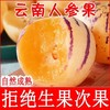 现货 人参果一级大果（4斤装） 商品缩略图1