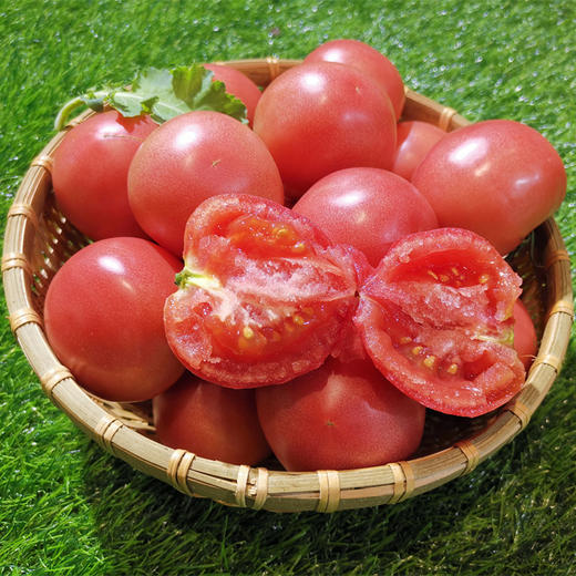 梓盟有机孩馋胡萝卜、梓盟有机甜菜根、有机瑞粉番茄 商品图1