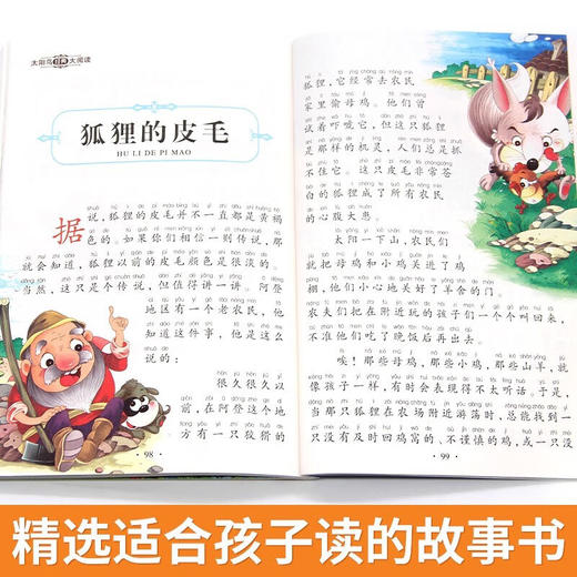 新太阳鸟课外大阅读系列 注音彩绘版 动物故事 商品图4