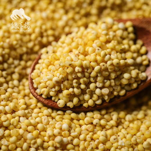 生态大黄米 | 合作生产* Eco-rhubarb rice | Coproduction 商品图0