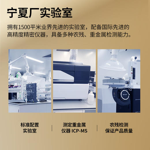 【正宗同仁堂品牌】北京同仁堂 青源堂 五味子150克 选自吉林  色泽自然 油润大果 茶汤通透SY 商品图6