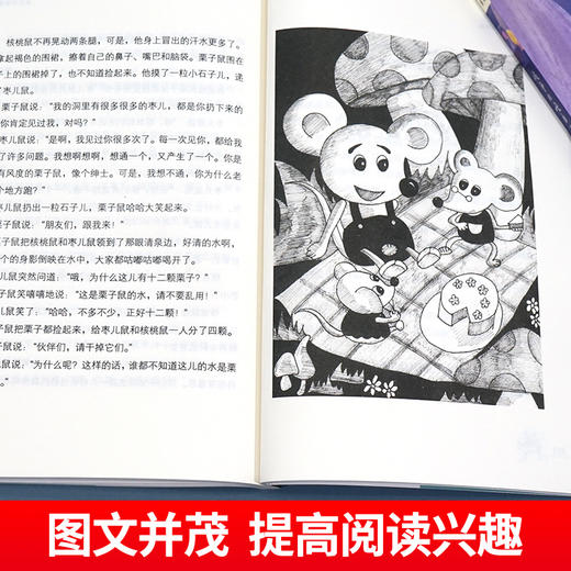 全国优秀儿童文学获奖作家书系 B版全5册 商品图3
