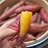 临安天目正宗“手指”小香薯 没有粗硬纤维感 口感像板栗【社群】 商品缩略图4