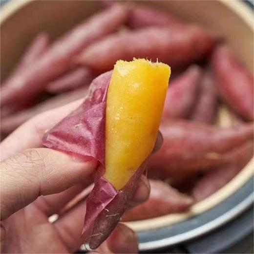 临安天目正宗“手指”小香薯 没有粗硬纤维感 口感像板栗【社群】 商品图4