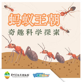 【贵地博】《地下王朝-蚂蚁》