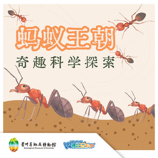 【贵地博】《地下王朝-蚂蚁》 商品图0